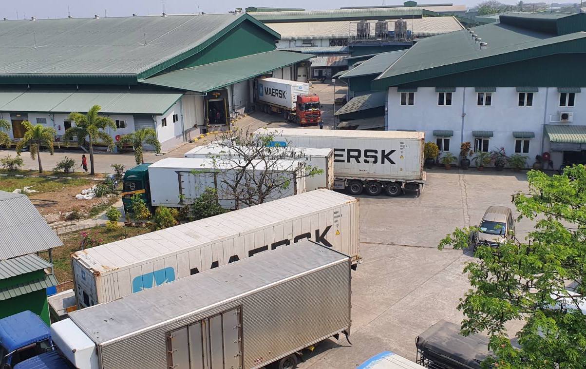 company name