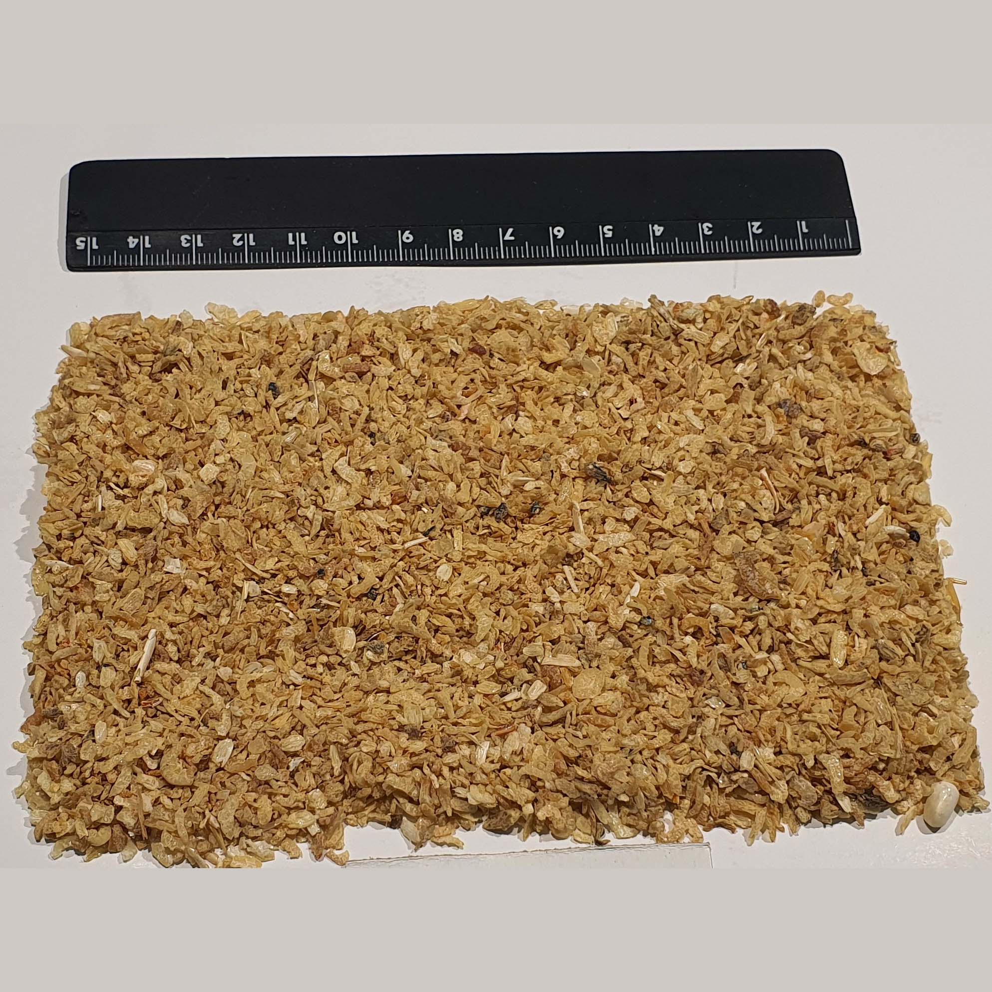 Dried Shrimp SCC
