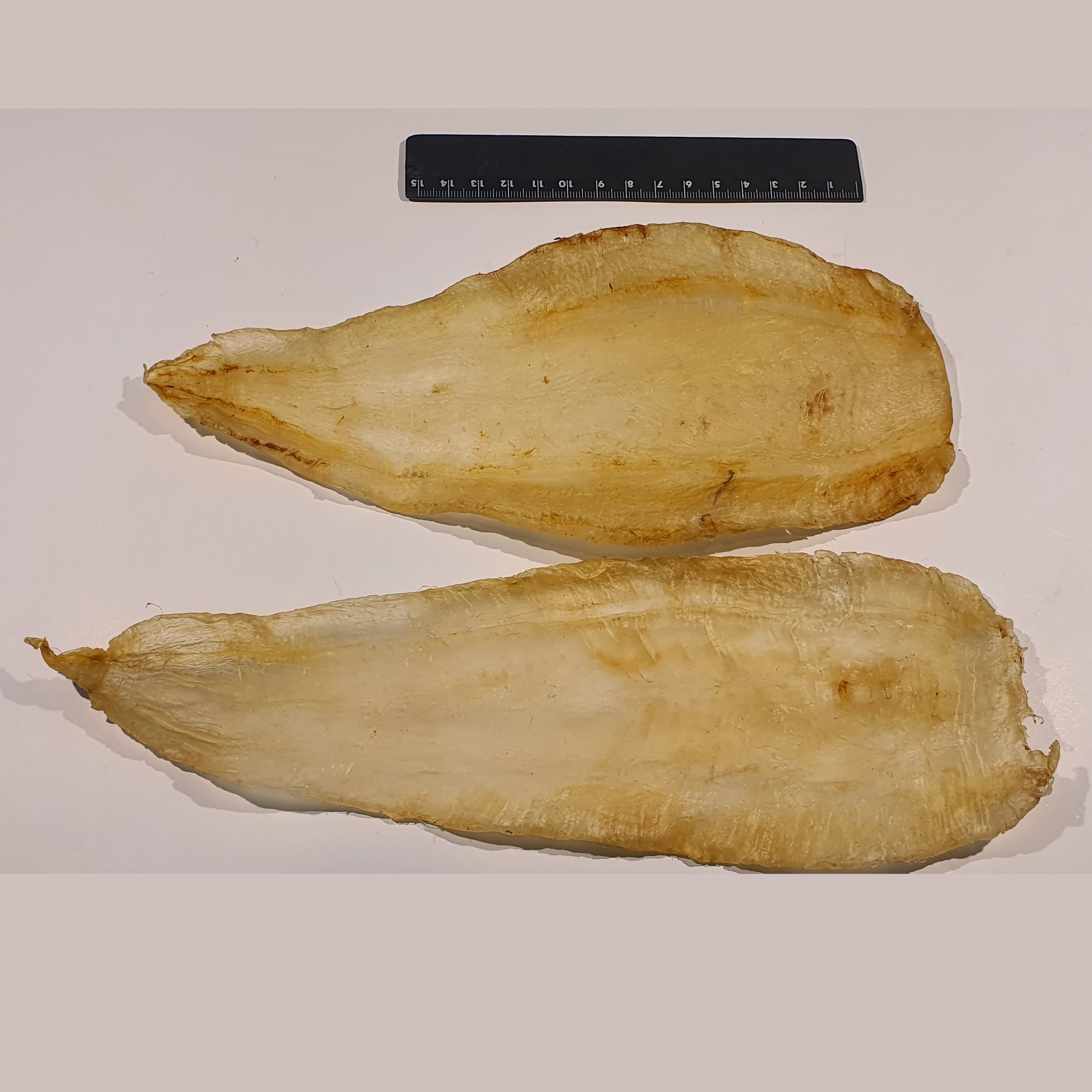 Dried Panna fish maw