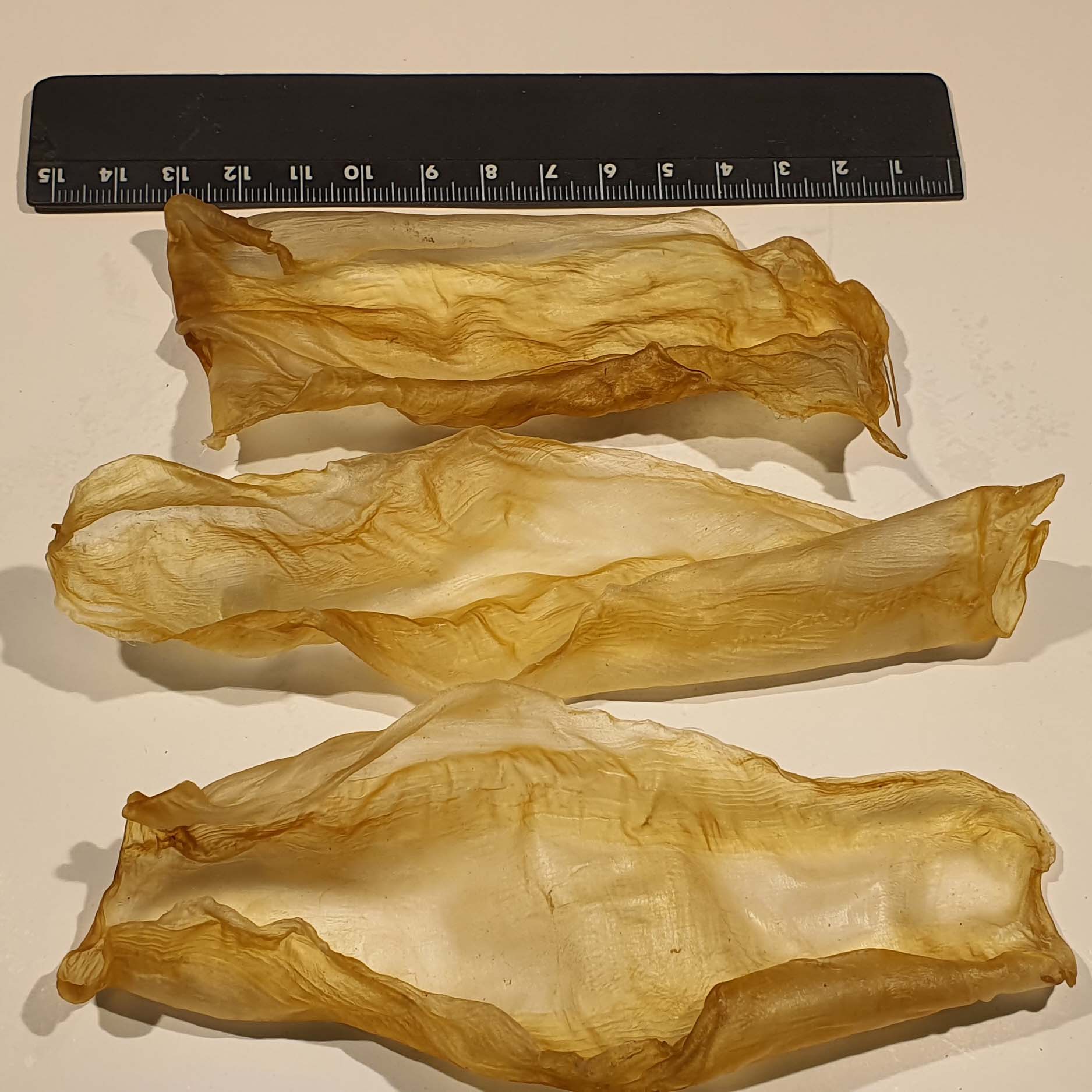 Dried Fish Maw(Sea bass)
