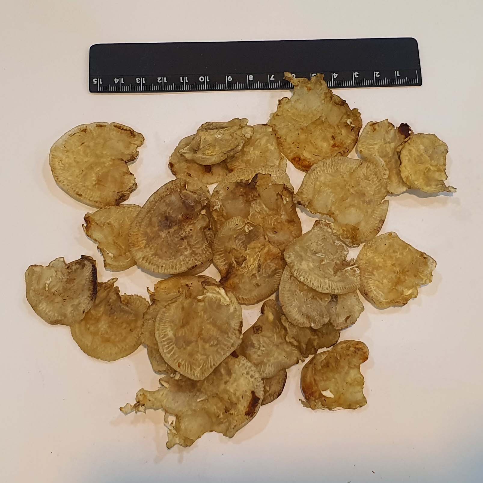 Dried Cat fish maw
